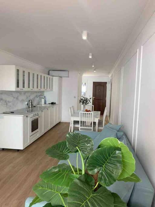 Flaming Apartment 4F Torrevieja Exterior photo